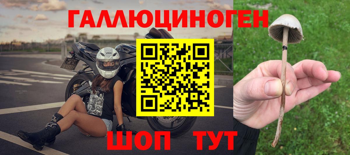 Псилоцибиновые грибы Magic Shrooms Тайшет